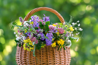 Taller de cesto de flor preservada