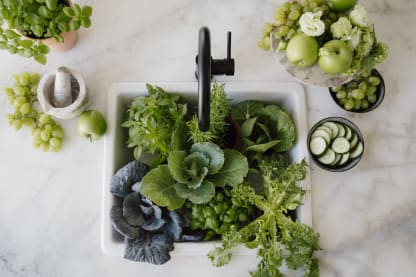 Taller huerto urbano