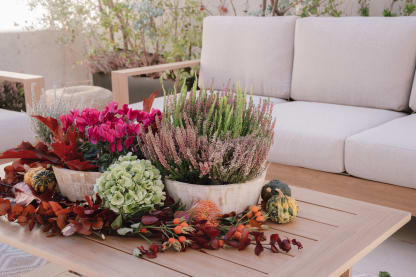 Taller de jardinería para el otoño
