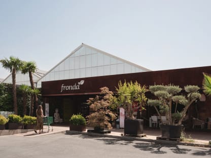 Fronda Majadahonda
