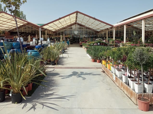 Tienda de Fronda de San Sebastián de los Reyes