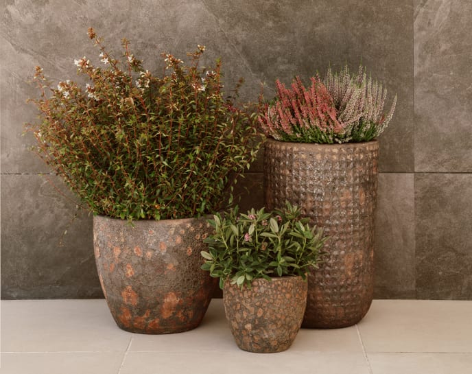 Comprar todo el look