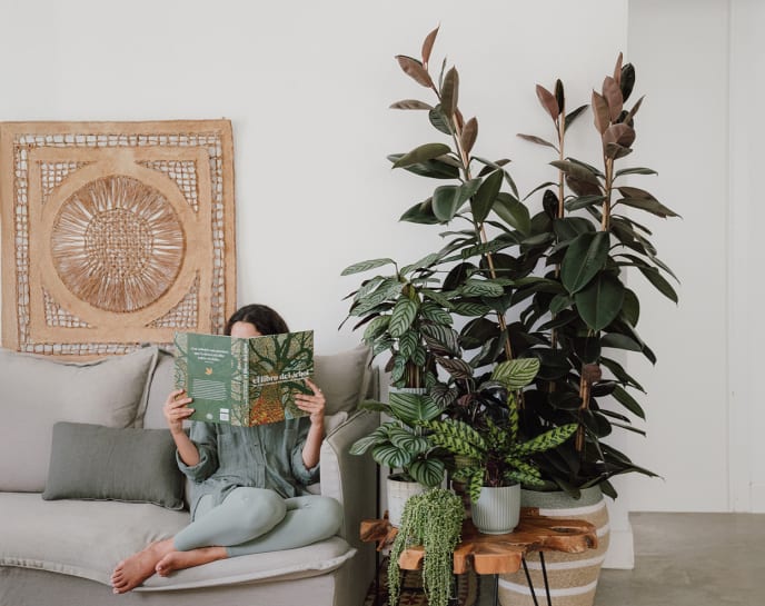 Comprar todo el look