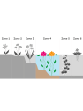 Nenúfar Nymphaea mix - Planta aguas profundas de estanque