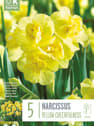 Bulbos de Narcissus 'Yellow Cheerfulness'