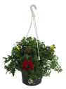 Composición de lobelia