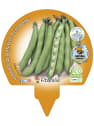 Haba - Planta de huerto