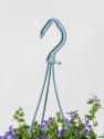 Campanula Addenda® colgante