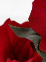 Flor de Pascua Artificial roja