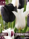 Bolsa 15 bulbos tulipán duopack blanco y negro