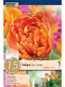 Bulbos de Tulipán 'Sun Lover'
