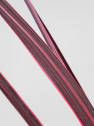 Cordyline banksii 'Electric Pink'