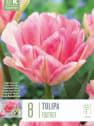 Bulbos de Tulipán 'Foxtrot'