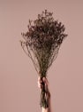 Ramillete Preservado de Limonium morado