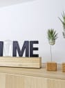 Pack de Tillandsias - Air Plants Box