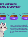 Alimento húmedo para gatos adultos - Trocitos en salsa de salmón y pollo Edgard&Cooper