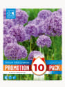 Bulbos de Allium aflatunense 'Purple Sensation'
