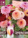 Bulbos de Dahlia Jolly Balls (Mixed colours)