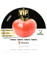 Tomate Jack F1 - Planta de huerto
