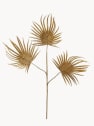 Rama de palma dorada brillante decorativa 68 cm