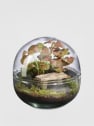 Terrario plantas Terra Mini Monde Landscape