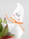 Taza decorativa con Echeveria - Especial Halloween