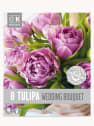 Bulbos de Tulipán 'Wedding Bouquets'