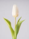 Ramillete de Tulipanes Blancos