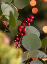Navidad Retro-Forest - Ramo de flores natural