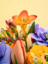 POP BLOOM - Ramo Chromatic Pixel