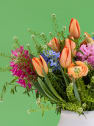 POP BLOOM - Ramo Tulip Twist
