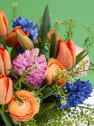 POP BLOOM - Ramo Tulip Twist