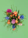 POP BLOOM - Ramo Tulip Twist