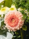 Ramo de Flores naturales Vuelve al Verde 1