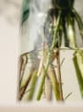 Ramo de Flores naturales Vuelve al Verde 1