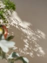 Ramo de Flores naturales Vuelve al Verde 1