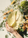 Ramo de Flores naturales Vuelve al Verde 2