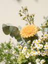 Ramo de Flores naturales Vuelve al Verde 2