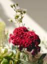 Ramo de Flores naturales Vuelve al Verde 3