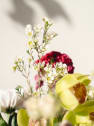 Ramo de Flores naturales Vuelve al Verde 3