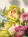Ramo de Flores naturales Vuelve al Verde 3