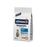 Advance adult de pollo y arroz