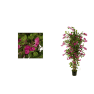Arbol de Bougainvillea Artificial