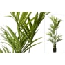 Árbol de Palmera kentia Artificial