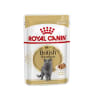 Royal canin húmedo british shorthair salsa