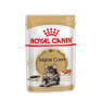 Royal canin húmedo adult maine coon salsa