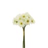 Bouquet margarita blanca artificial