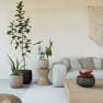 Cuenco hemera taupe