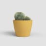 Maceta de Interior Nubia Cactus amarillo