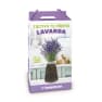 Kit Cultiva tu propia lavanda
